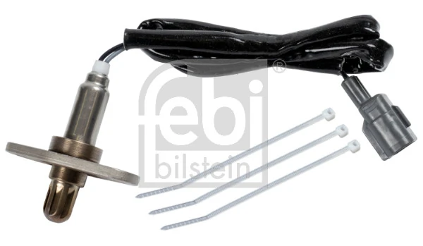 Oxygen Sensor